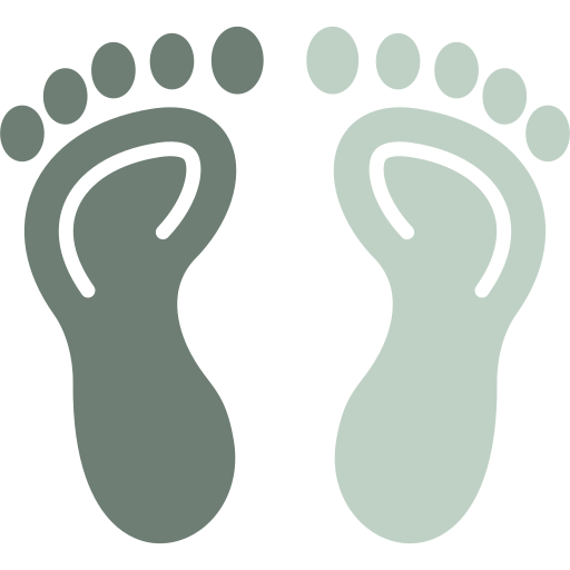 Foot - Free healthcare and medical icons