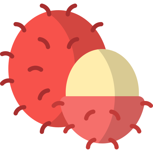 rambután icono gratis