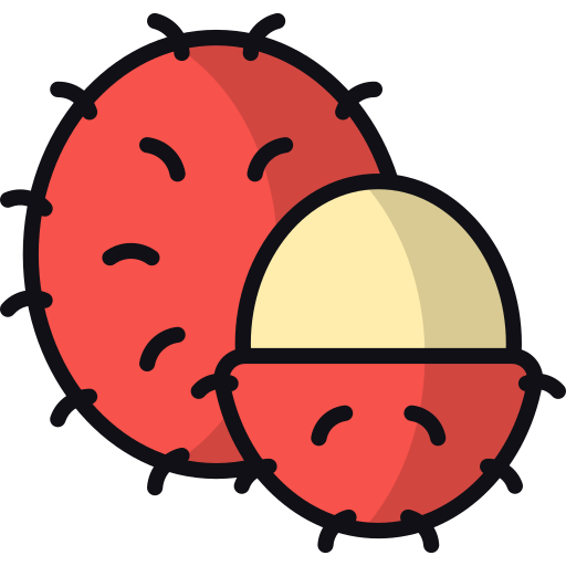 rambután icono gratis