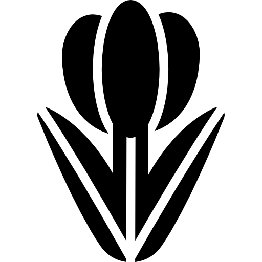 tulpe kostenlos Icon