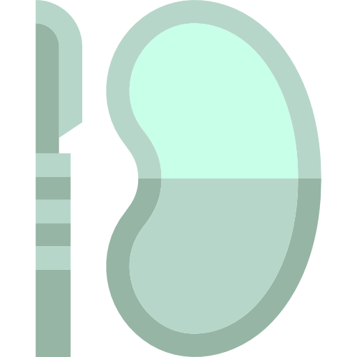 niere kostenlos Icon niere kostenlos Icon