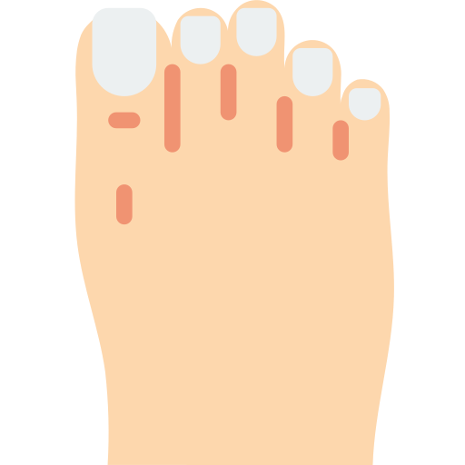 Roman foot Basic Miscellany Flat icon