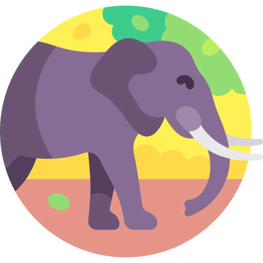 Elephant free icon Elephant free icon