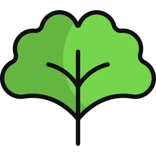 Ginkgo free icon Ginkgo free icon