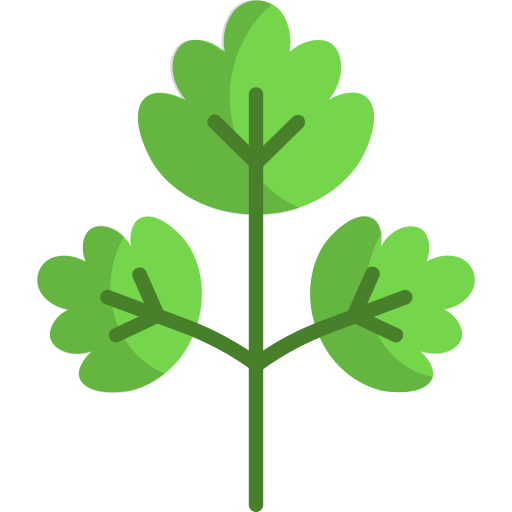 Parsley free icon