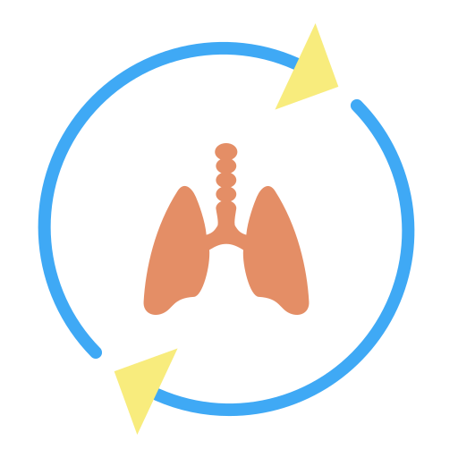 Pulmones icono gratis