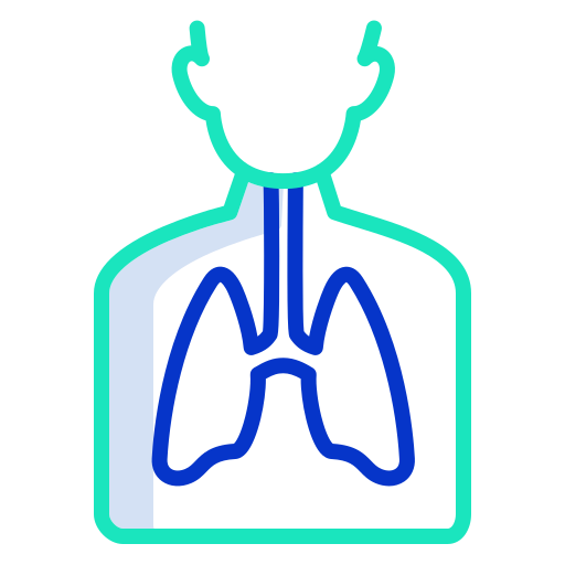 Lungs Icongeek26 Outline Colour icon