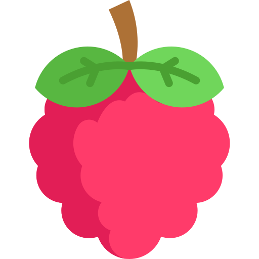 Raspberries free icon