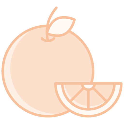 orange Icône gratuit orange Icône gratuit