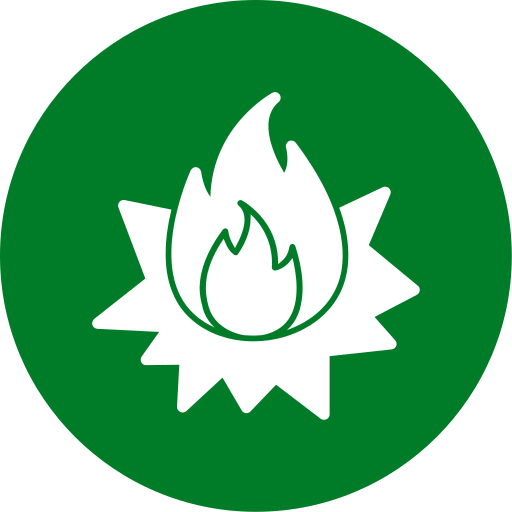 blaze kostenlos Icon blaze kostenlos Icon