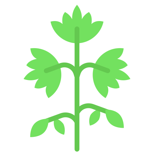 Parsley free icon