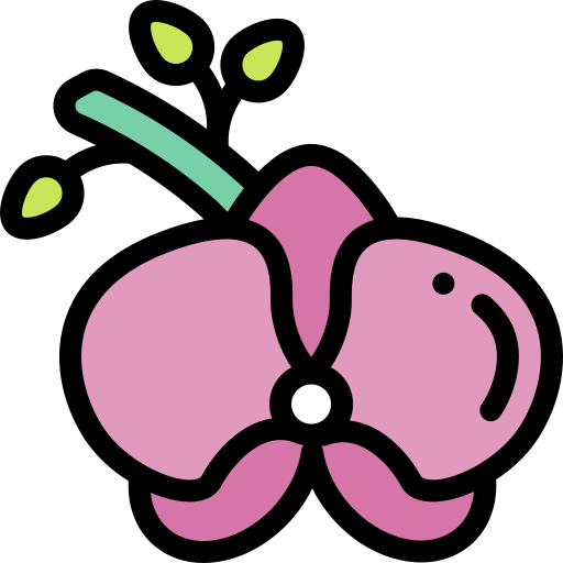orchidee kostenlos Icon orchidee kostenlos Icon