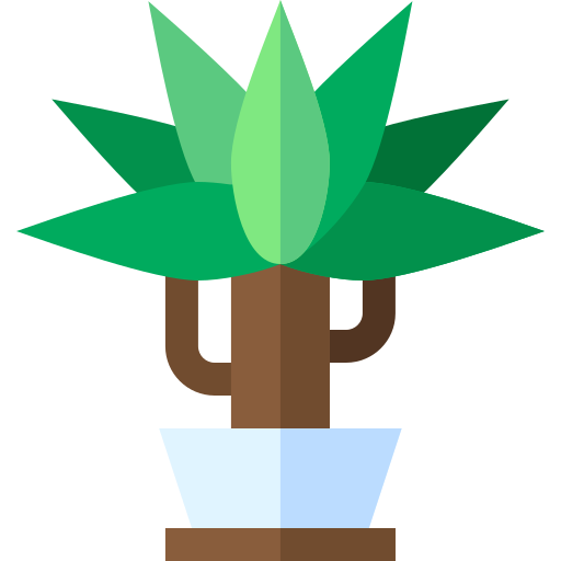 Dracaena icono gratis