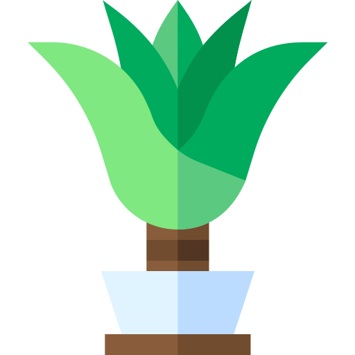 Dracaena icono gratis