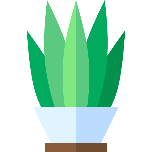 Sansevieria icono gratis