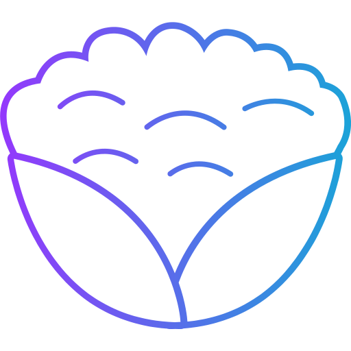 Цветная капуста бесплатно иконка