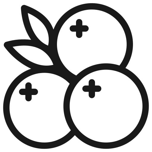 fruit Icône gratuit fruit Icône gratuit