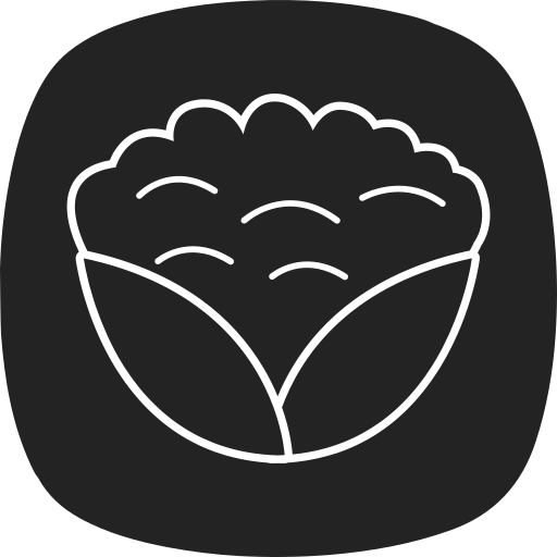콜리플라워 무료 아이콘
