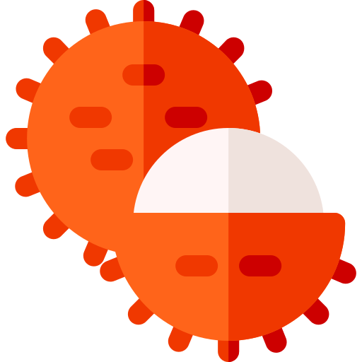 Rambután icono gratis