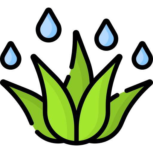 aloe vera kostenlos Icon