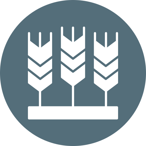 Wheat free icon