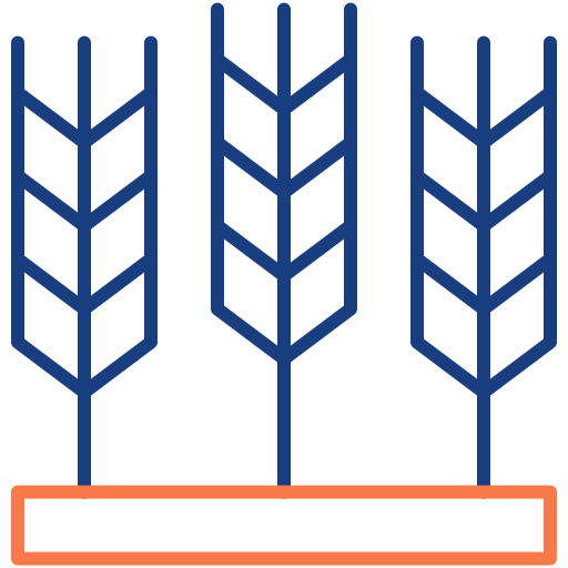 Wheat free icon Wheat free icon