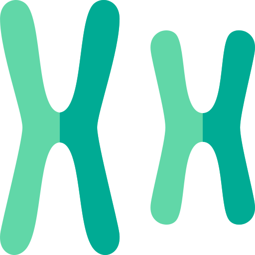 염색체 무료 아이콘