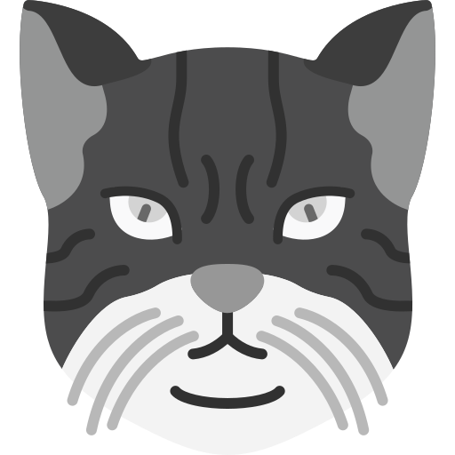 chat américain à poil dur Icône gratuit chat américain à poil dur Icône gratuit