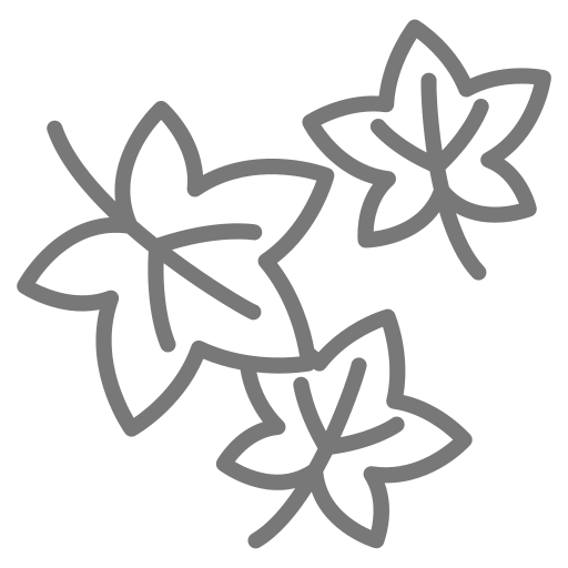 feuilles Icône gratuit feuilles Icône gratuit