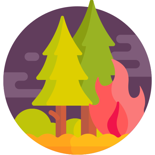 Fire Detailed Flat Circular Flat icon