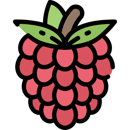 Raspberries free icon Raspberries free icon