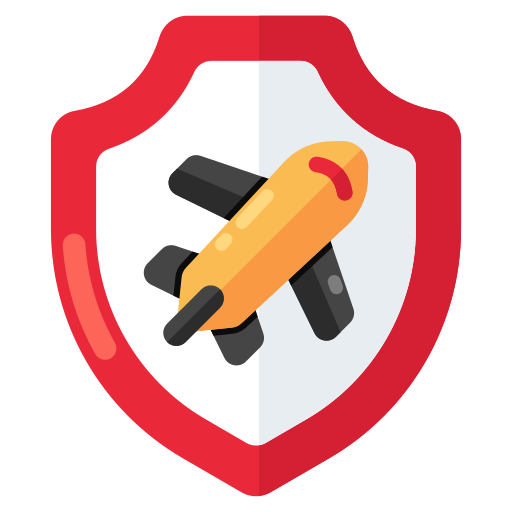 여행 보안 무료 아이콘