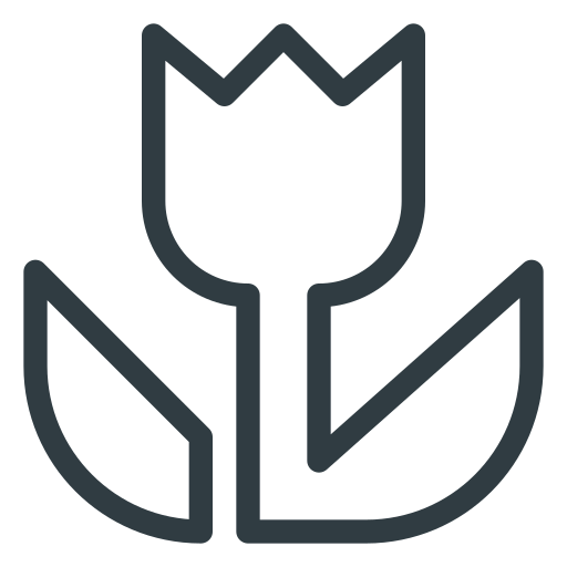 photo Icône gratuit