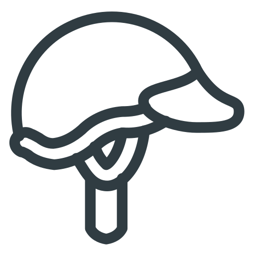 Спорт бесплатно иконка Спорт бесплатно иконка