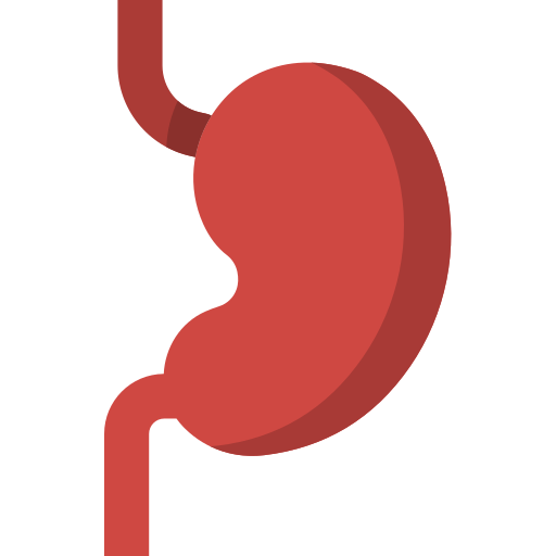 bauch kostenlos Icon