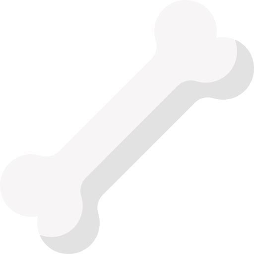 Bone Special Flat icon