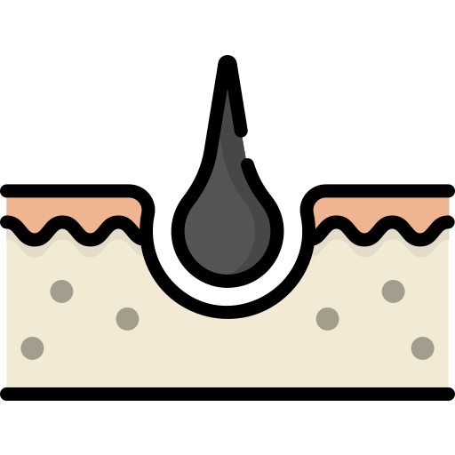 peau Icône gratuit peau Icône gratuit