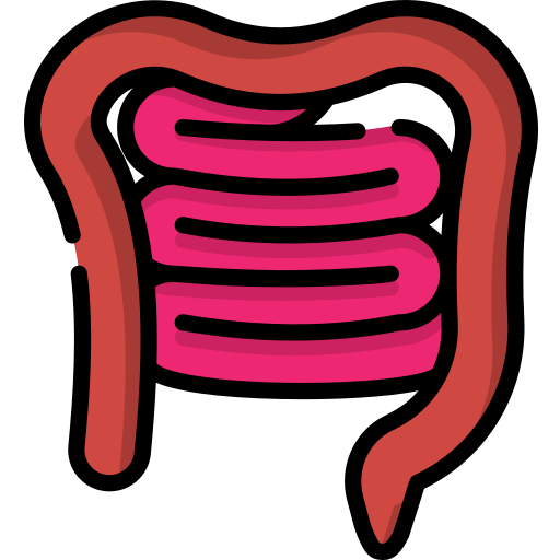 Icono De Intestino Special Lineal Color