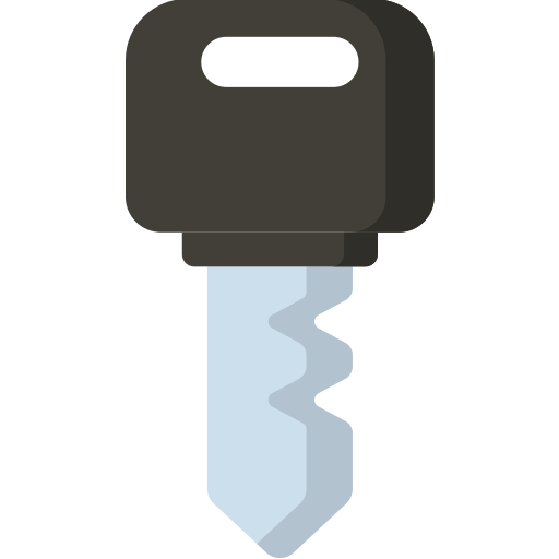 Key Special Flat icon