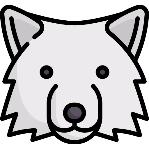 Wolf Special Lineal color icon