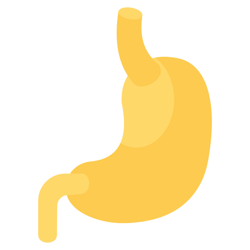 Stomach free icon