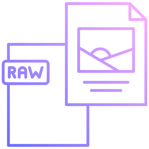 archivo raw icono gratis