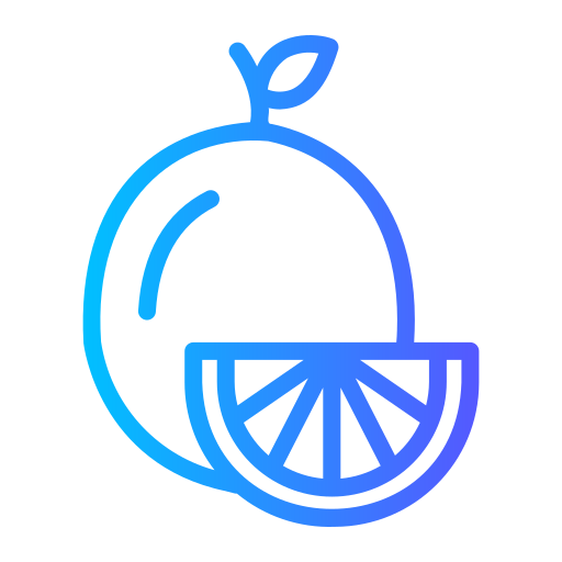 naranja icono gratis