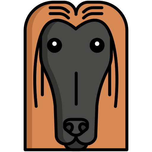 sabueso afgano icono gratis