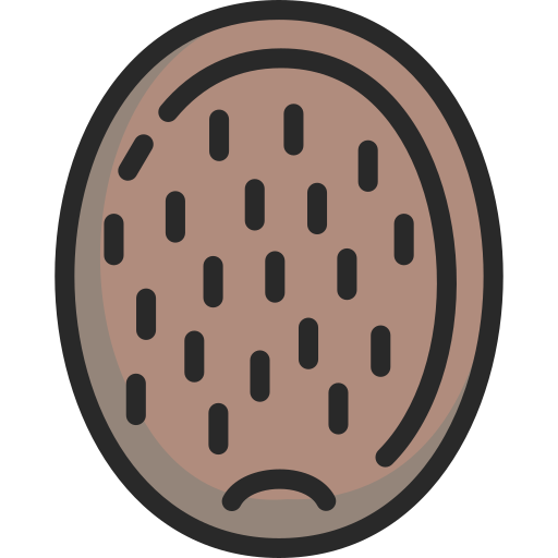 fruit Icône gratuit