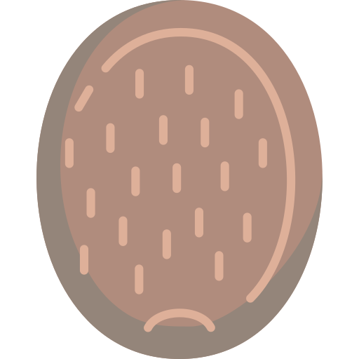 과일 무료 아이콘