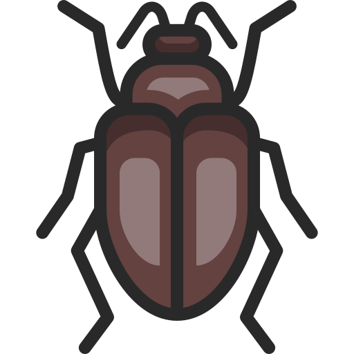 Beetle free icon Beetle free icon