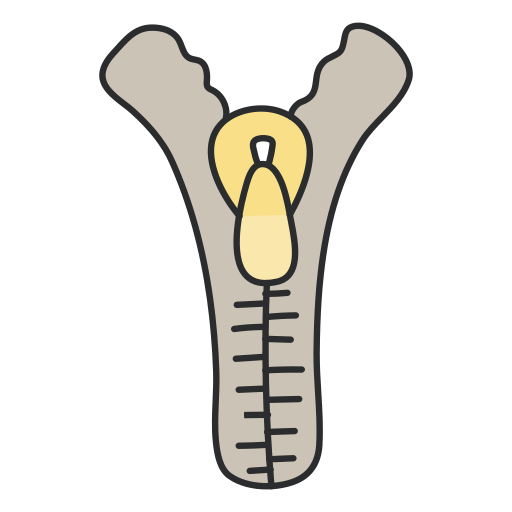 Zipper free icon Zipper free icon