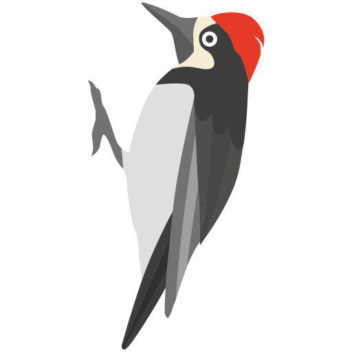 Bird free icon Bird free icon