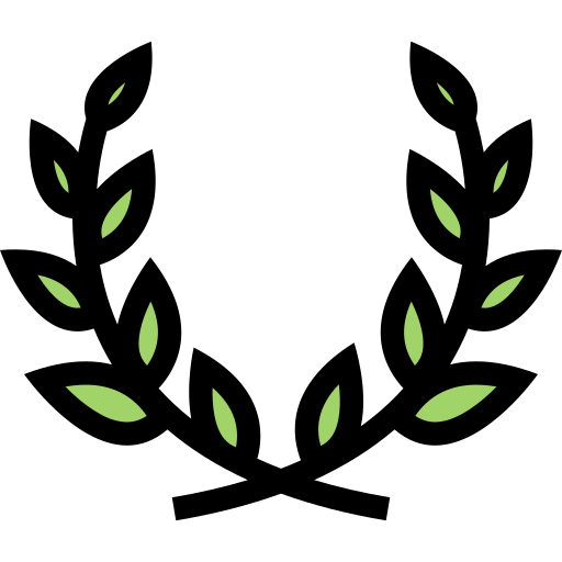 Победа бесплатно иконка